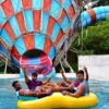 Imagicaa