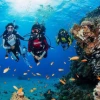 Scuba Diving in Goa | PADI & SSI Certified | Beginners Welcome