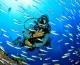 Scuba Diving At Grande Island In South Goa
