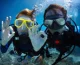 Scuba Diving In Andaman